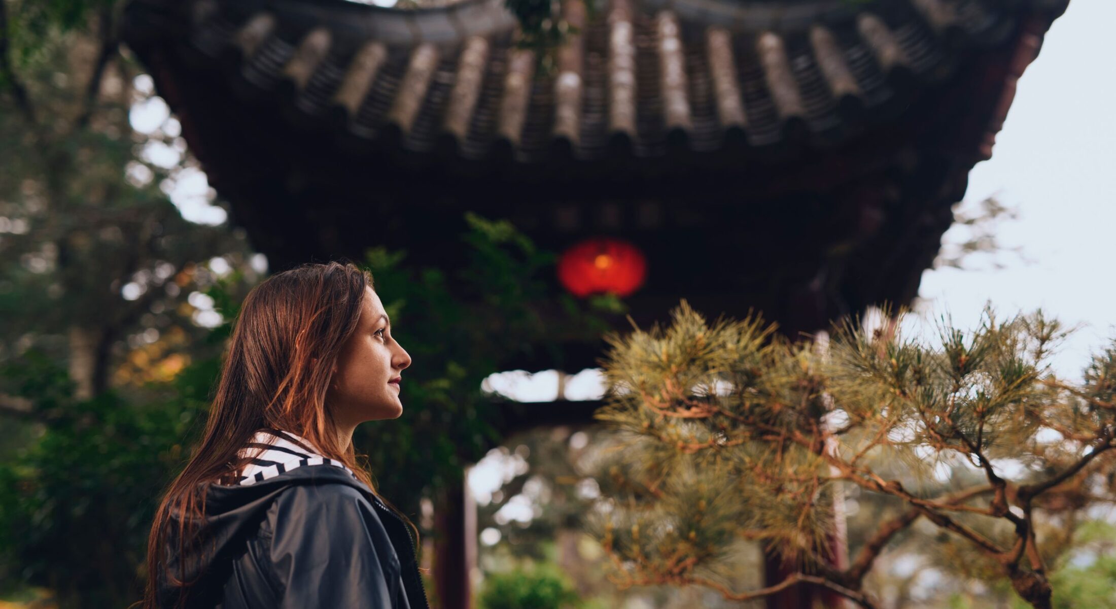 Chinese Garden of Friendship, Darling Harbour