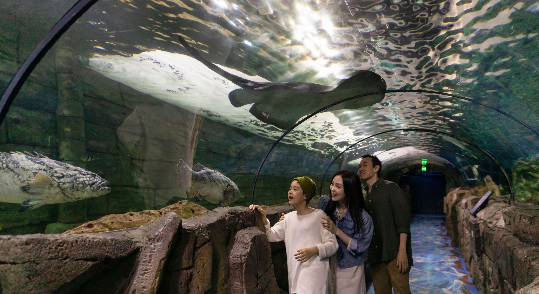 Family enjoying their visit to SEA LIFE Sydney Aquarium, Darling Harbour.